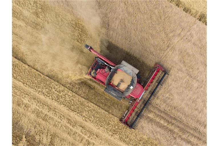 Ein Mähdrescher auf einem Getreidefeld. Foto: Boris Roessler/dpa