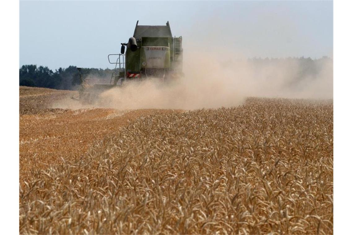 Ein Mähdrescher erntet auf einem Feld Winterweizen. Foto: Peter Förster/Archivbild