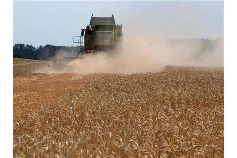 Ein Mähdrescher erntet auf einem Feld Winterweizen. Foto: Peter Förster/Archivbild