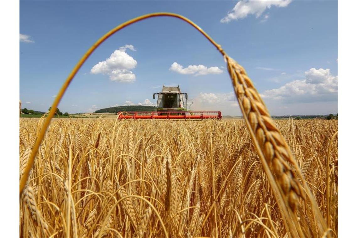 Erntebilanz: Gute Zeiten für Getreide, schlechtere für Mais
