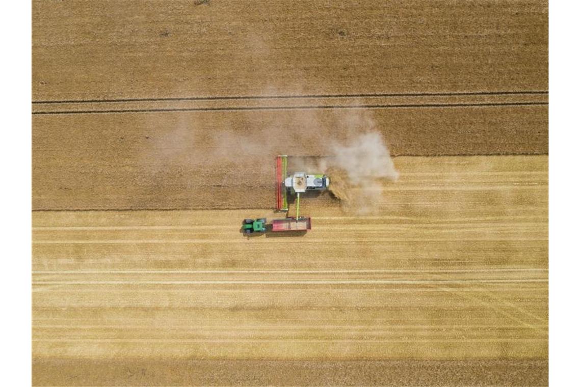 Ein Mähdrescher erntet ein Kornfeld ab. Foto: Christophe Gateau/Archiv