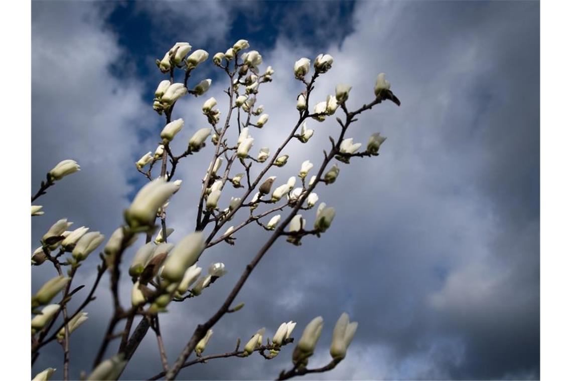 Regnerisches Wochenende in Baden-Württemberg