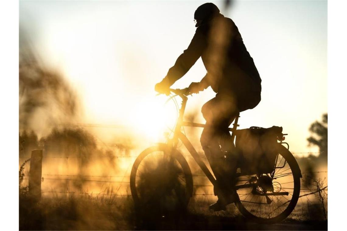 Ein Mann auf einem Fahrrad fährt am frühen Morgen über einen Feldweg. Foto: Sina Schuldt/dpa/Archivbild