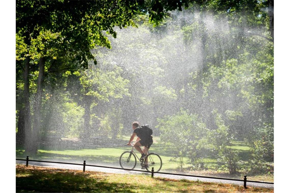 Ein Mann fährt auf dem Fahrrad im Berliner Tiergarten bei Hitze und Sonnenschein durch den Regen einer Bewässerungsanlage. Foto: Kay Nietfeld/dpa