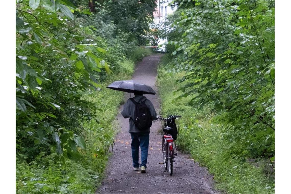 Ein Mann geht bei Regen mit seinem Fahrrad durch einen Wald. Foto: Bernd Weißbrod/dpa/Archivbild