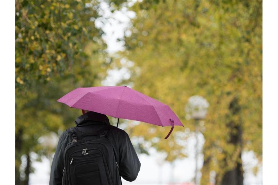 Ein Mann geht mit Regenschirm unter herbstlich gefärbten Bäumen entlang. Foto: Sebastian Kahnert/zb/dpa