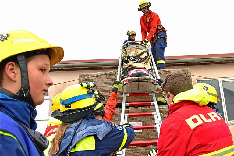 Ein Mann ist auf einen hohen Holzstapel geschleudert worden. Die Rettungskräfte müssen ihn gesichert hinunterbringen. Fotos: Tobias Sellmaier