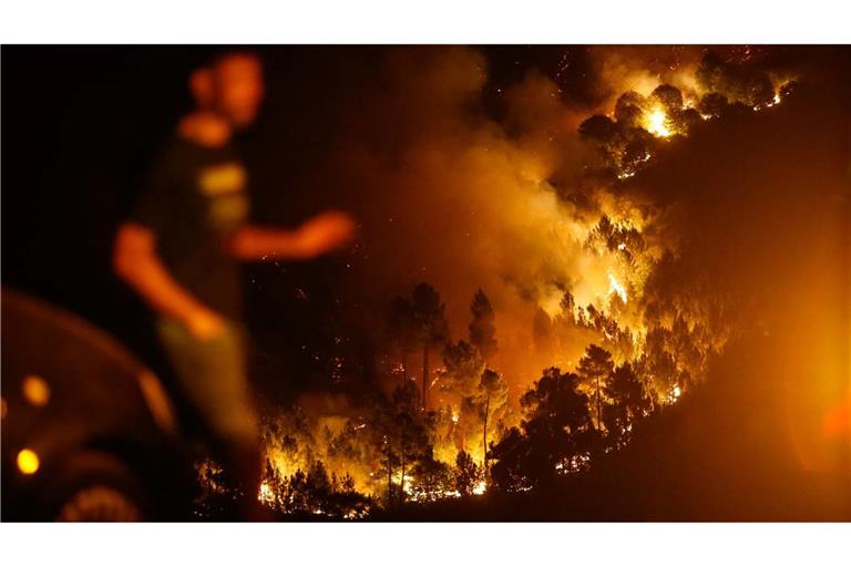 Ein Mann ist vor den Flammen eines Brandes im spanischen Quiroga zu sehen. In Galicien gibt es derzeit gleich mehrere Brände, bei denen bisher zehntausende Hektar an Wald- und Vegetationsfläche verbrannt sind.