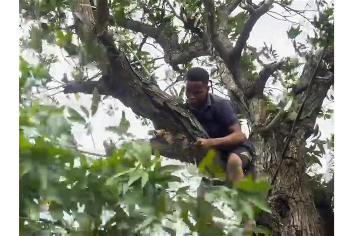 Tropensturm bedroht erneut Afrikas Ostküste - ein Toter Ein Mann schneidet Äste von einem Baum, um Stromleitungen freizulegen, während er sich darauf vorbereitet, dass der tropische Wirbelsturm „Batsirai“ Zentral-Madagaskar erreicht. Foto: Uncredited/AP/dpa