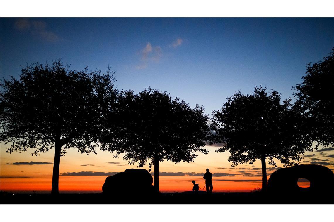 Ein Mann spaziert am frühen Morgen kurz vor Sonnenaufgang mit einem Hund über den Kronsberg.