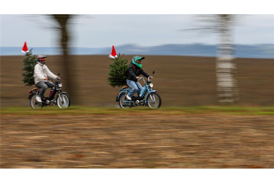 Bilder des Tages Ein Mann und eine Frau sind mit Mofas, auf denen jeweils ein Weihnachtsbaum montiert ist, am 2. Advent bei Erisdorf in baden-Württemberg unterwegs