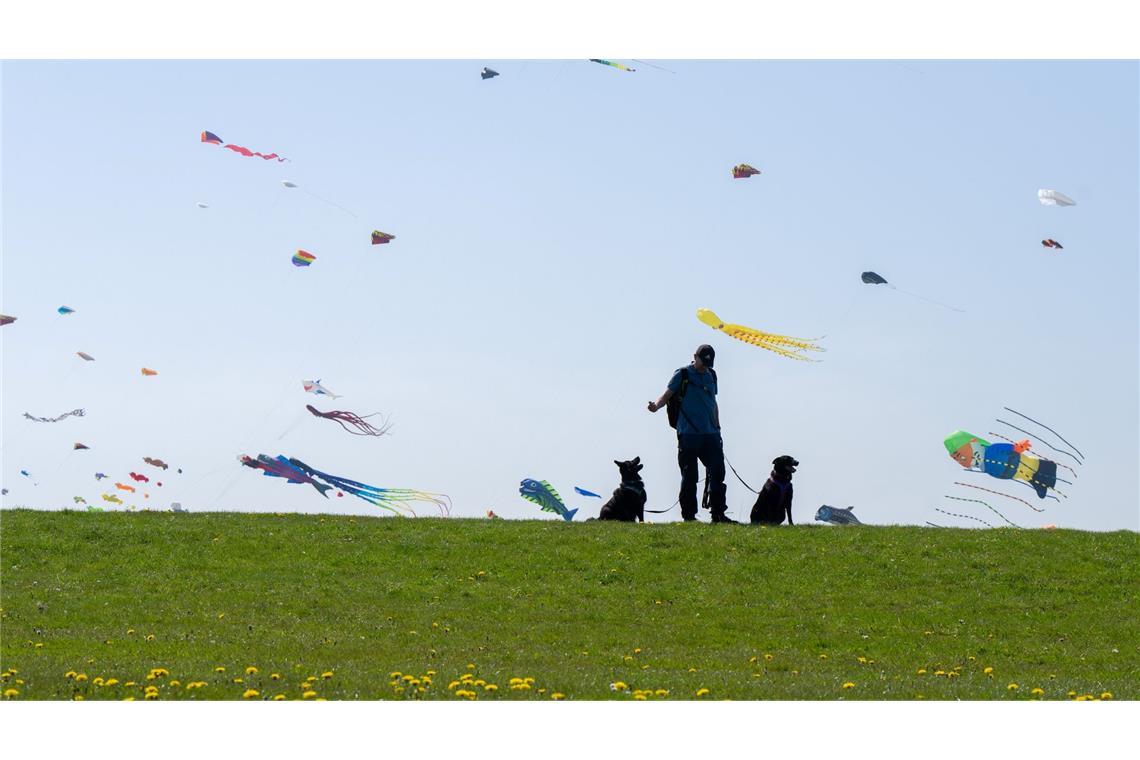 Ein Mann und seine beiden Hunde betrachten die bunten Flugdrachen, die beim Drachenfest im niedersächsischen Dornumersiel durch die Lüfte fliegen.