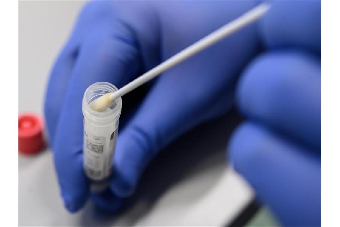 Bald eine Million Corona-Fälle im Südwesten Ein Mann zeigt einen Abstrich für das Testverfahren auf das Virus Sars-CoV-2. Foto: Sebastian Gollnow/dpa/Symbolbild