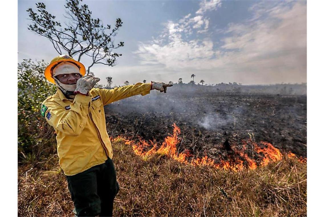 Ein Mitarbeiter der brasilianischen Umweltbehörde steht vor einem Brand. Foto: Gabriela Biló/XinHua