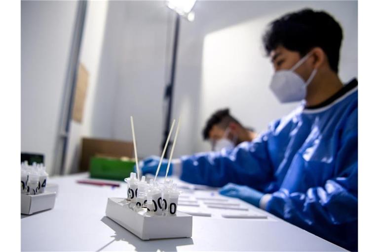 Ein Mitarbeiter eines Testzentrums in Bremen wertet Corona-Schnelltests aus. Foto: Sina Schuldt/dpa