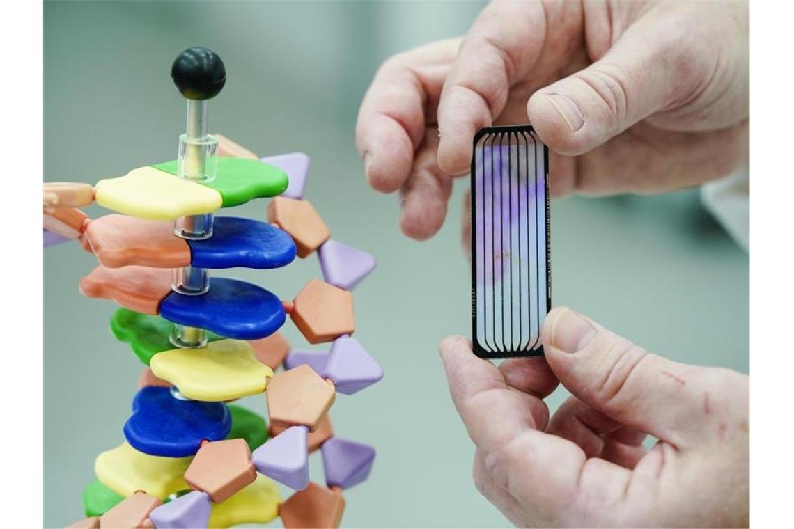 Forscher auf der Suche nach Corona-Varianten Ein Mitarbeiter hält in einem Sequenzier-Labor am EMBL eine sogenannte Flowcell neben das Modell einer DNA-Helix. Foto: Uwe Anspach/dpa
