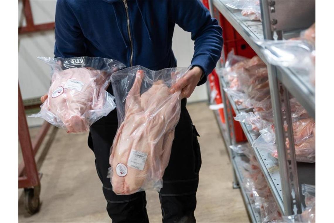 Corona verschafft Martinsgänsen keine Galgenfrist Ein Mitarbeiter legt auf dem Tegerhof frisch geschlachtete und eingepackte Martinsgänse in ein Regal. Foto: Sebastian Gollnow/dpa