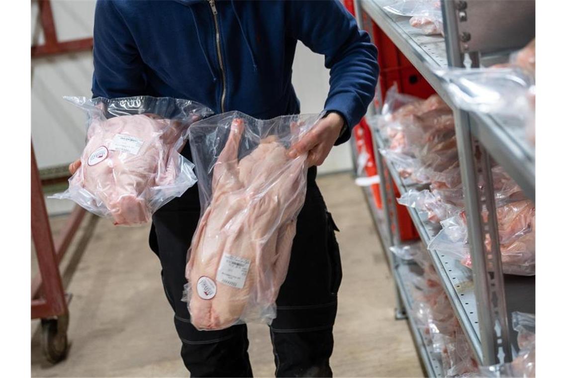 Ein Mitarbeiter legt auf dem Tegerhof frisch geschlachtete und eingepackte Martinsgänse in ein Regal. Foto: Sebastian Gollnow/dpa