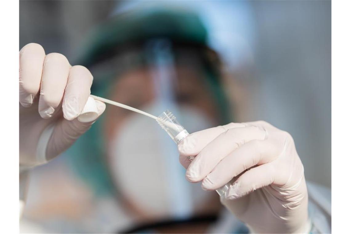 Erstmals neue Coronavirus-Variante in Sachsen nachgewiesen Ein Mitarbeiter zeigt in einer Corona-Abstrichstelle einen Abstrich für einen Corona-Test. Die in Großbritannien aufgetretene Variante des Coronavirus ist in Sachsen nachgewiesen worden. Foto: Tom Weller/dpa