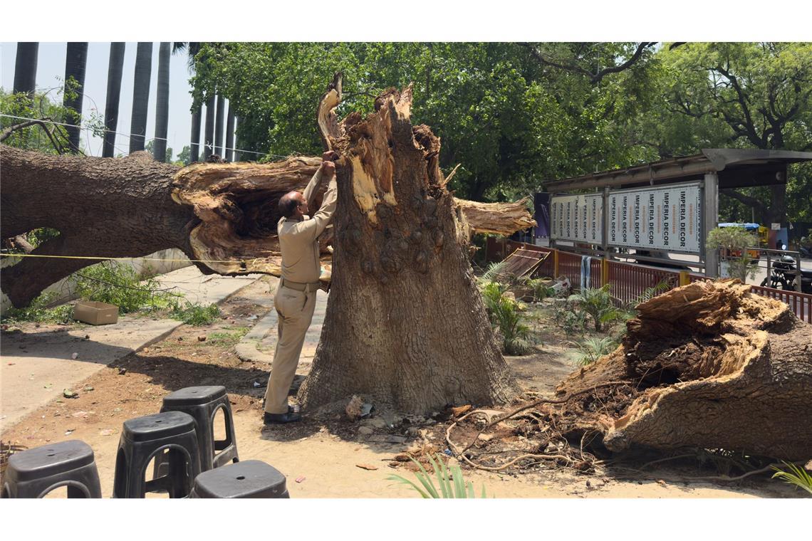 Ein Mitglied der Zivilschutzorganisation bindet ein Seil an einen umgestürzten Baum, um nach Stürmen und starken Regenfällen eine Notunterkunft zu errichten.