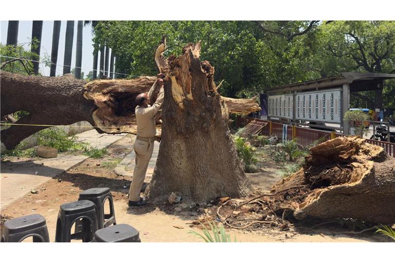 Ein Mitglied der Zivilschutzorganisation bindet ein Seil an einen umgestürzten Baum, um nach Stürmen und starken Regenfällen eine Notunterkunft zu errichten.