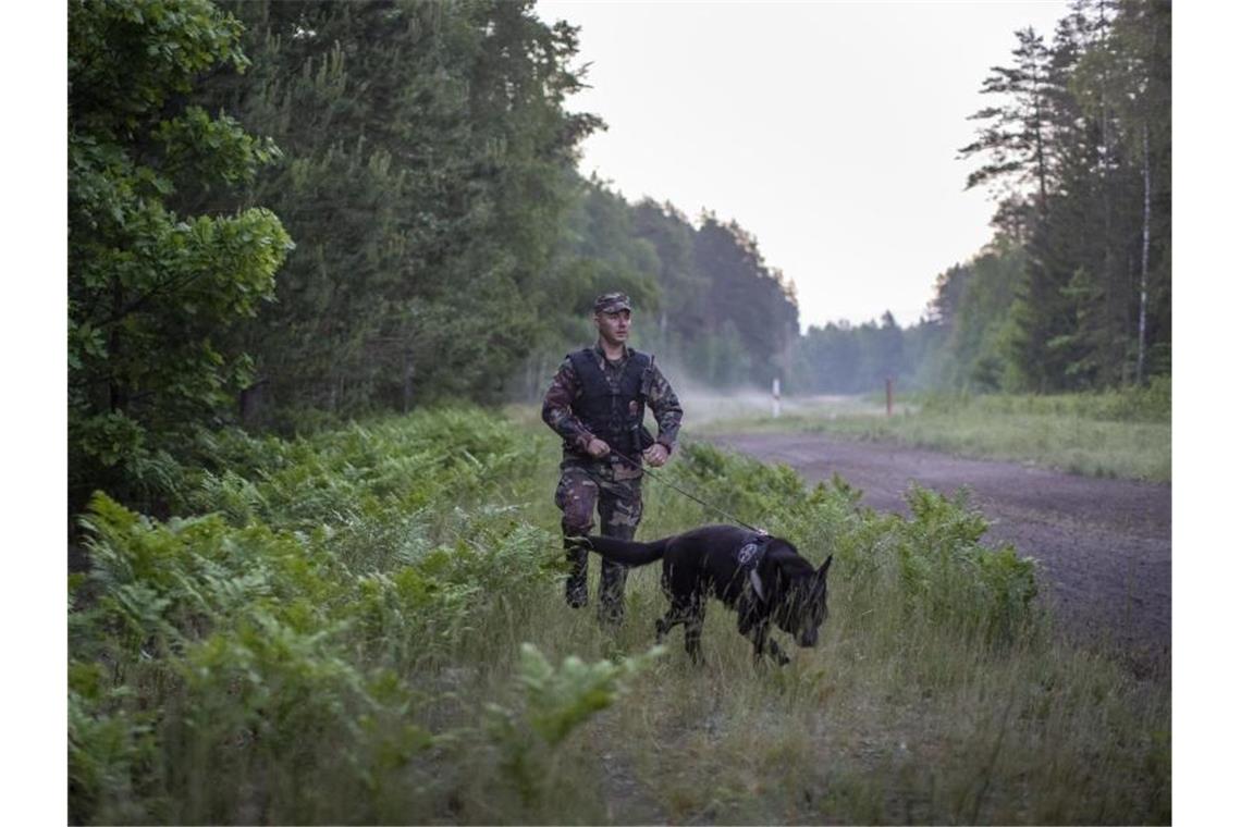 Ein Mitglied des litauischen Grenzschutzes patrouilliert im Juni mit einem Hund an der Grenze zu Belarus. Foto: Mindaugas Kulbis/AP/dpa