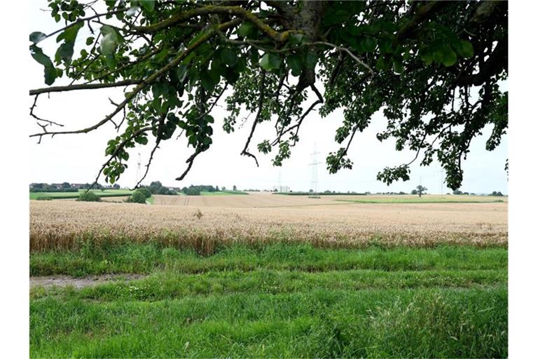 Ein mögliches Gewerbegebiet mit der Bezeichnung "Steinäcker" in der Nähe von Heilbronn. Foto: Bernd Weißbrod/dpa
