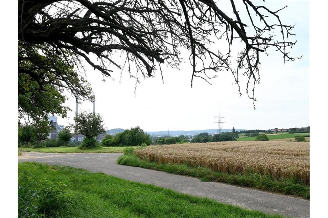 Ein mögliches Gewerbegebiet mit der Bezeichnung "Steinäcker" in der Nähe von Heilbronn. Foto: Bernd Weißbrod/dpa