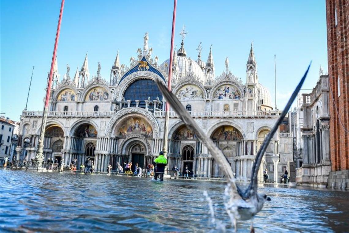 Ein Möwe steigt aus dem Hochwasser vor dem Markusdom auf dem Markusplatz auf. Foto: Claudio Furlan/LaPresse via ZUMA Press/dpa