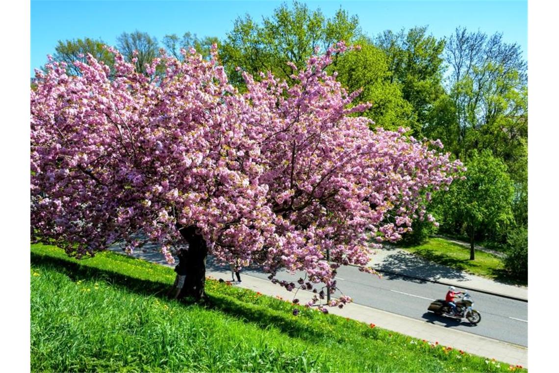 Ostersonntag bis zu 26 Grad im Südwesten