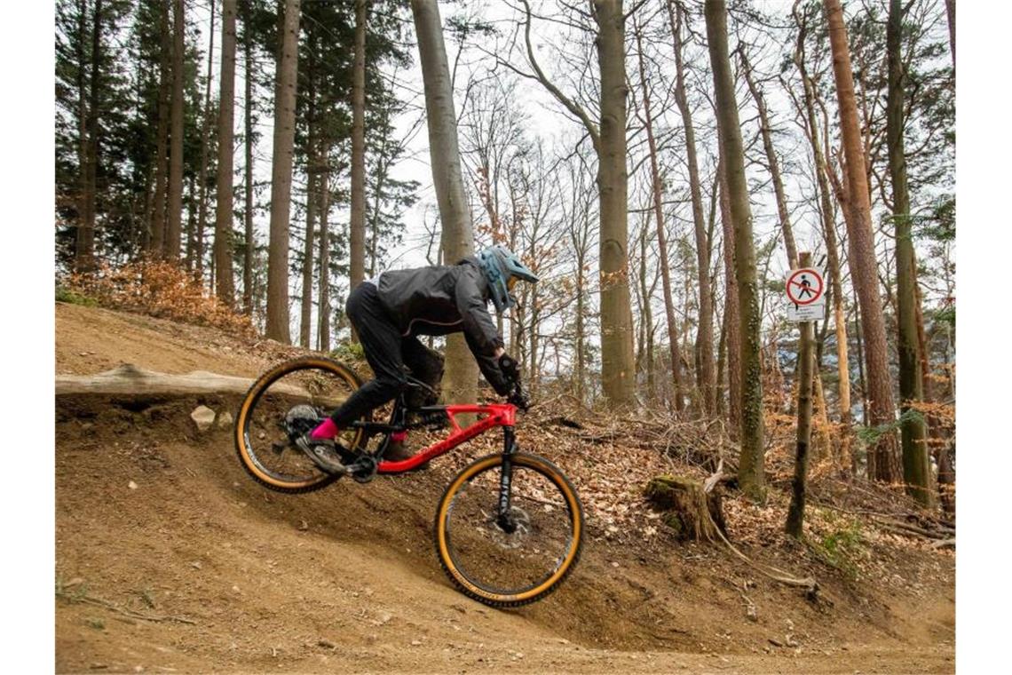 Nichts wie raus: Was der Lockdown für den Wald bedeutet