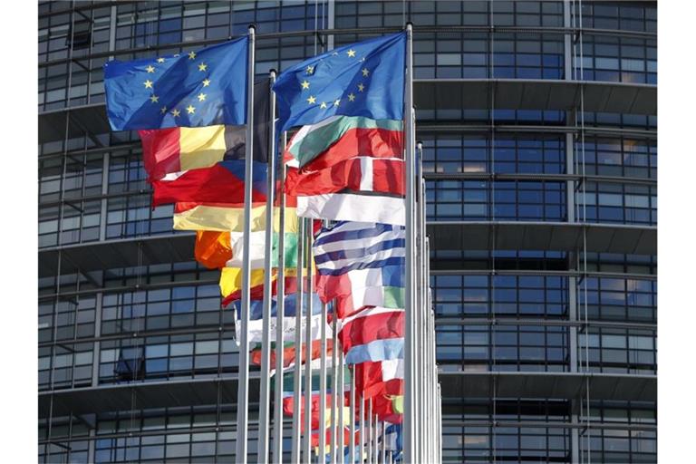 Ein mutmaßlicher Hitlergruß eines EU-Abgeordneten sorgt für Empörung im Parlament. Foto: Jean-Francois Badias/AP/dpa