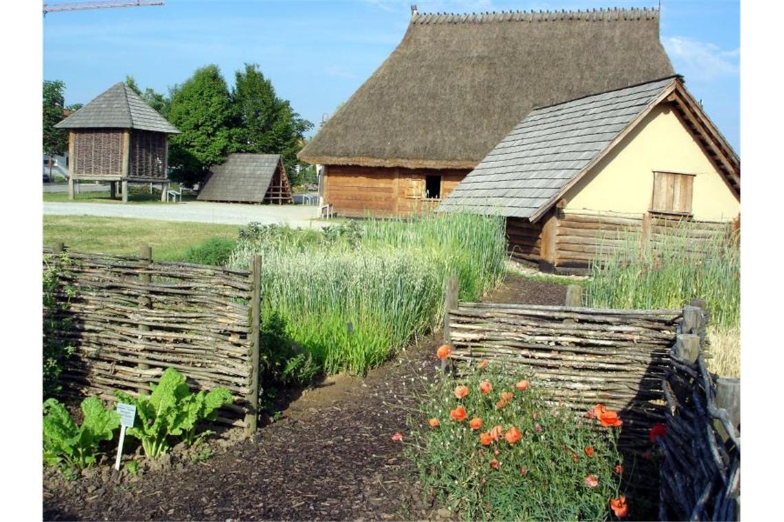 Ein nachgebautes Gehöft ist auf dem Freigelände des Museums in Hochdorf zu finden. Foto: Keltenmuseum_Hochdorf/dpa