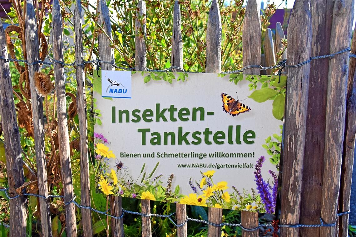 Ein naturnaher Garten bietet für verschiedene Insekten Nahrung und Lebensraum.