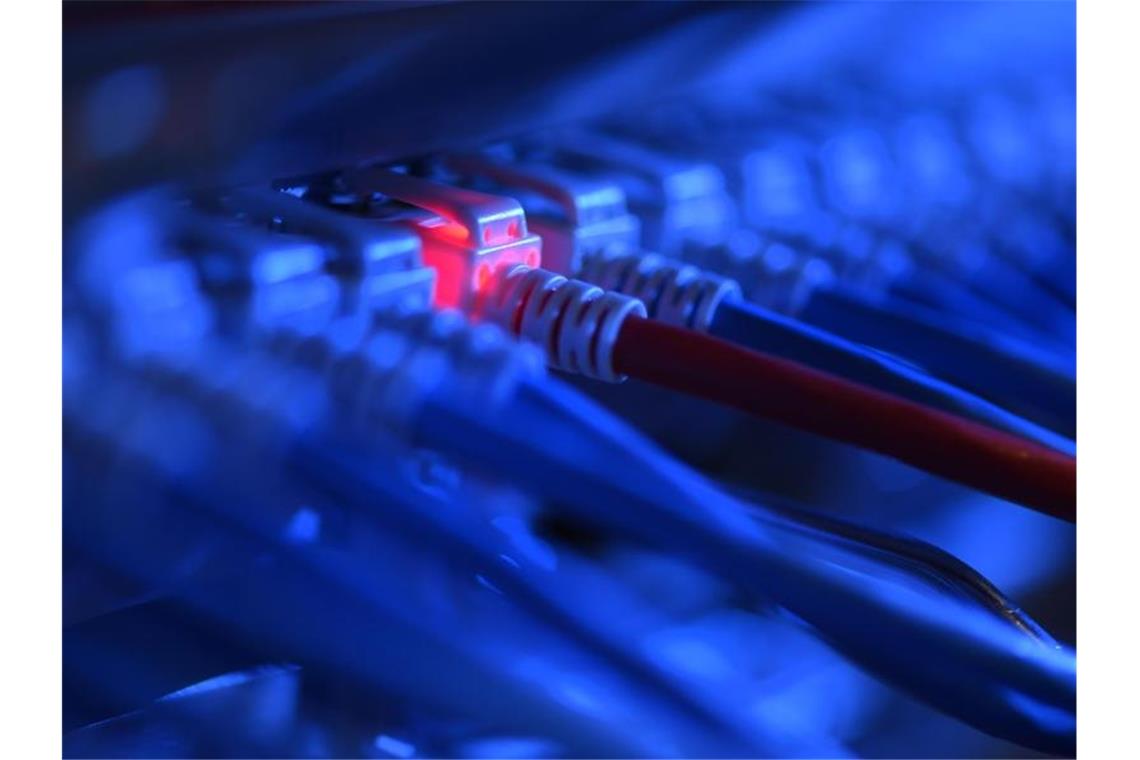 Ein Netzwerk-Kabelstecker in der Netzwerkzentrale einer Firma. Die Bundesregierung will Unternehmen besser vor Cyberattacken schützen. Foto: Felix Kästle/dpa