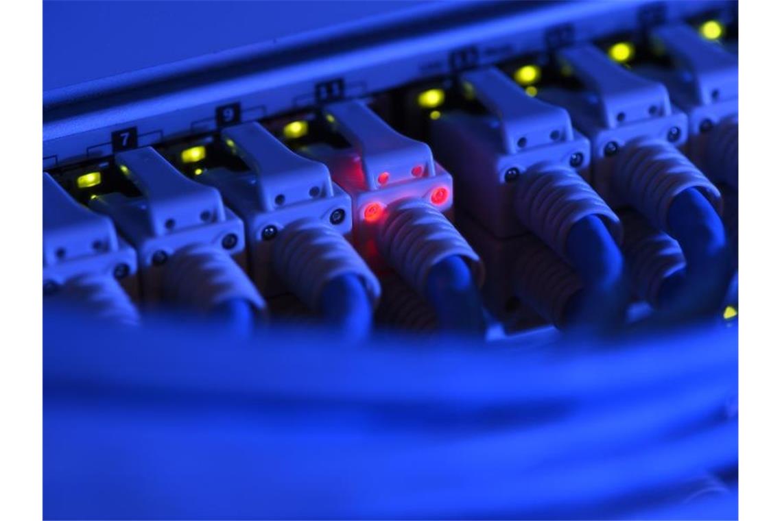 Strobl: Südwesten soll Vorreiter bei Cybersicherheit sein Ein Netzwerk-Kabelstecker leuchtet zu Kontrollzwecken rot. Foto: Felix Kästle/dpa/Archivbild