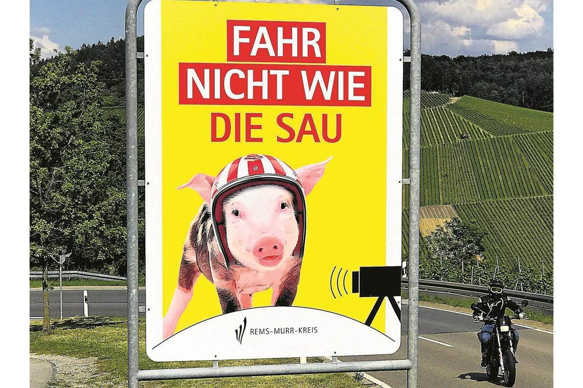 Tierischer Blickfang am Straßenrand Ein neues Schild steht zum Beispiel in Kernen im Remstal. Foto: Landratsamt