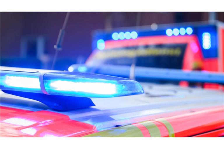 Ein Notarzt und Sanitäter versuchten an der Unfallstelle erfolglos, den jungen Mann wiederzubeleben. (Symbolbild)