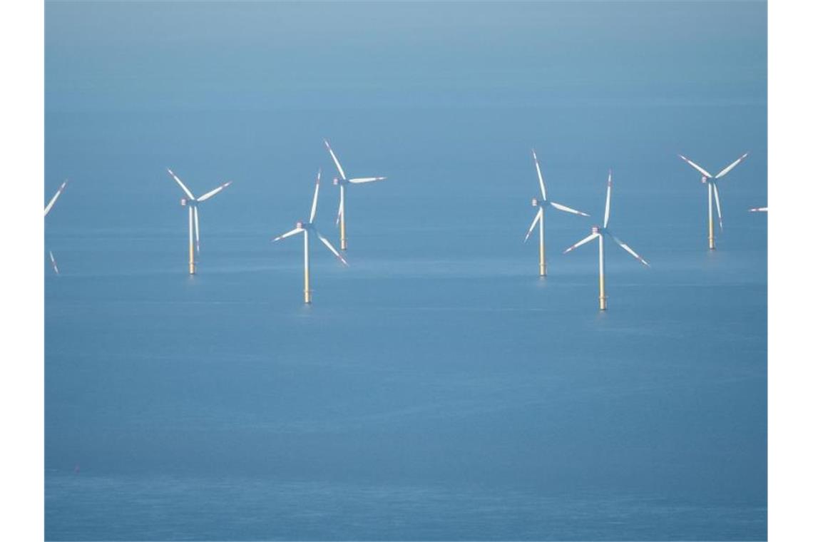 Ein Offshore-Windpark in der Nordsee. Foto: Sina Schuldt/dpa