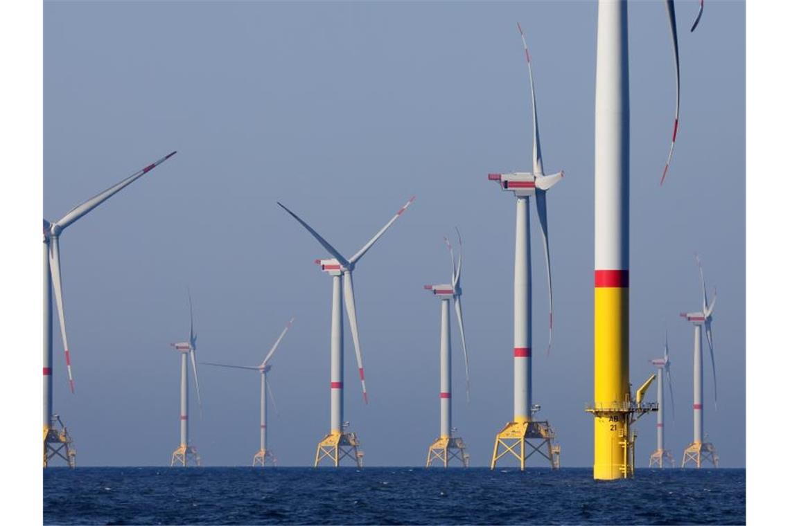Ein Offshore-Windpark in der Ostsee vor Rügen. Foto: Bernd Wüstneck/zb/dpa