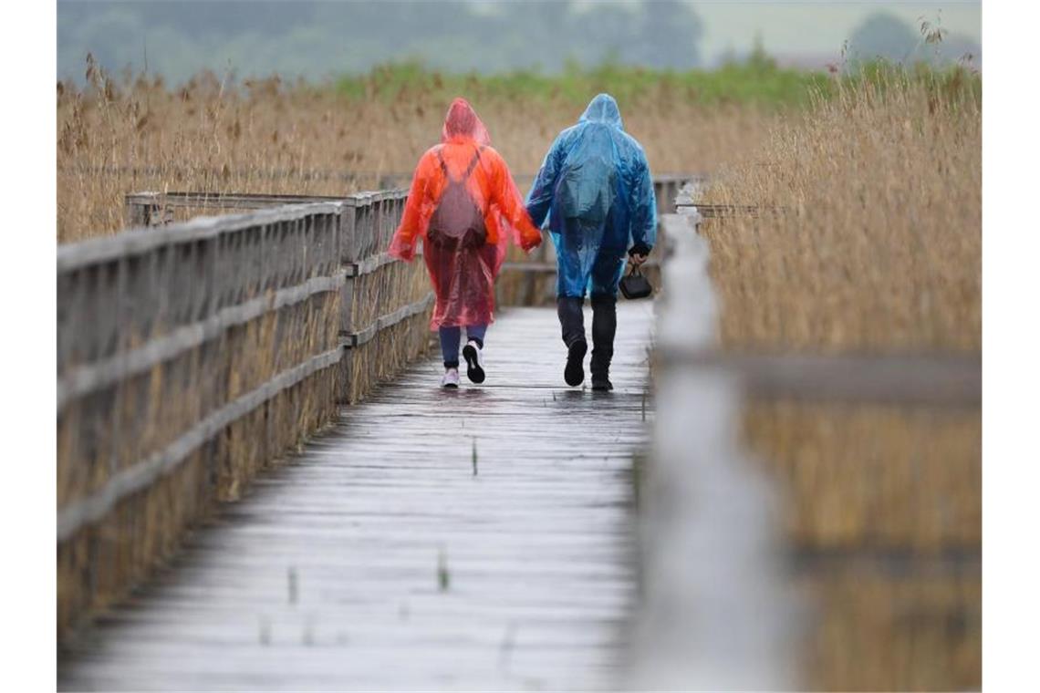 Ein Paar in Regenponchos geht auf dem rund 1,5 Kilometer langen Federseesteg auf dem Federsee. Foto: Thomas Warnack/dpa