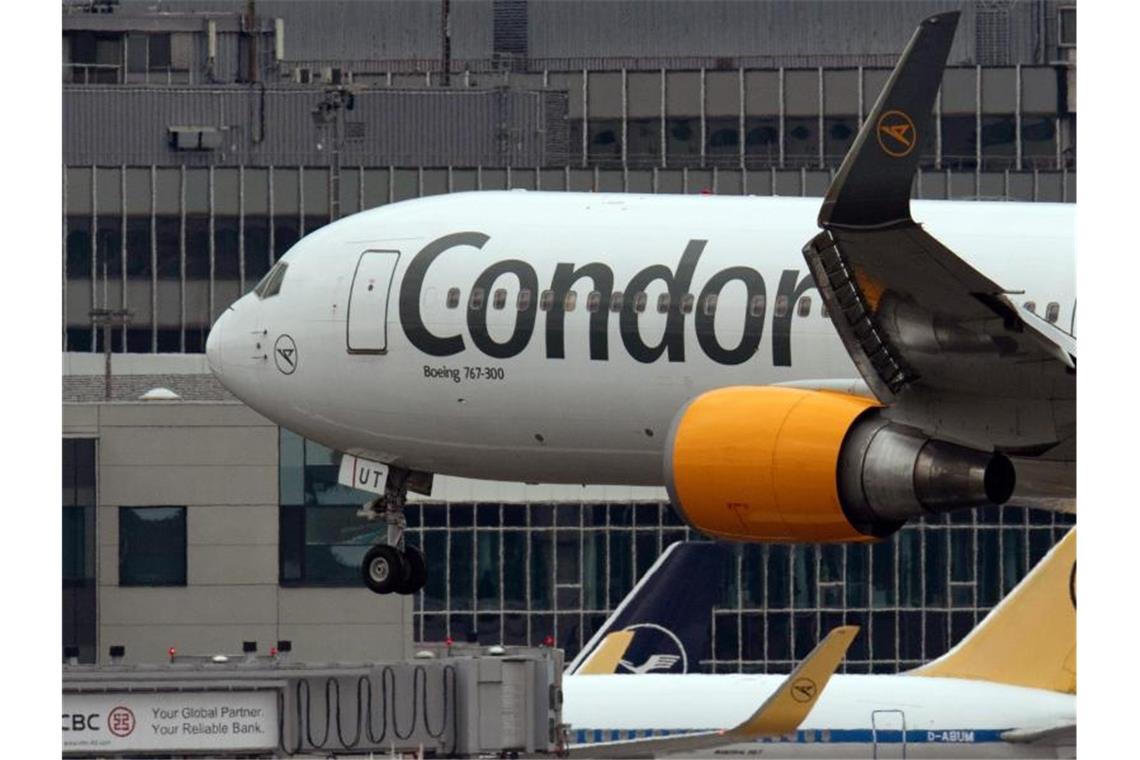 Ein Passagierflugzeug des Ferienfliegers Condor landet auf dem Flughafen in Frankfurt am Main. Foto: Boris Roessler/dpa