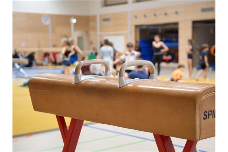 Ein Pauschenpferd steht in der Sporthalle einer Grundschule. Der Deutsche Lehrerverband hat sich gegen Veränderungen am Sportunterricht ausgesprochen. Foto: Sebastian Kahnert/zb/dpa