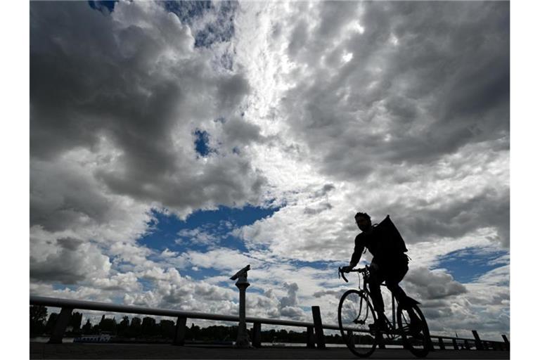 Ein Radfahrer ist am Mainzer Rheinufer unterwegs. Foto: Arne Dedert/dpa