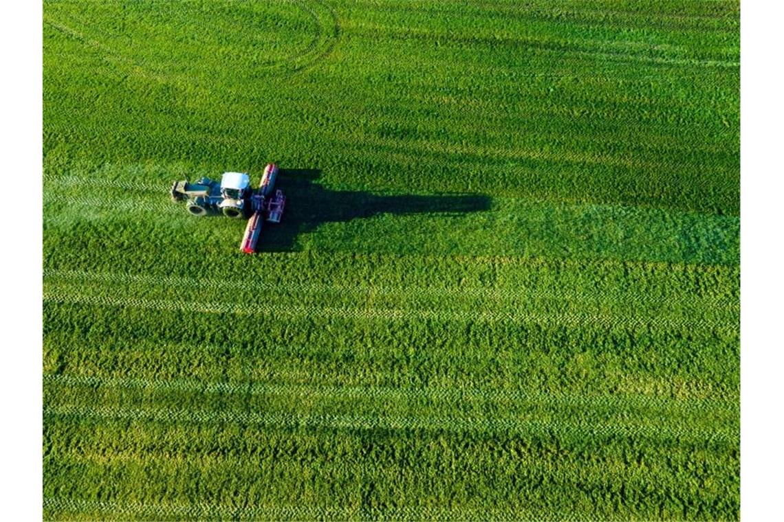 Bauernverband ruft zu Rücksicht auf Feld und Wiese auf Ein Rasenmulcher fährt über eine Wiese und schneidet Gras. Foto: Jens Büttner/dpa-Zentralbild/dpa/Symbolbild