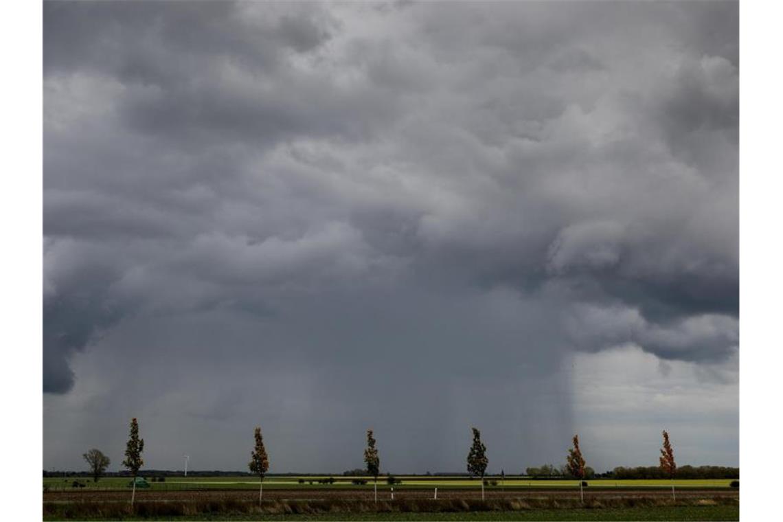 Ein Regenschauer zieht über ein Feld hinweg. Foto: Jan Woitas/dpa-Zentralbild/dpa/Archivbild