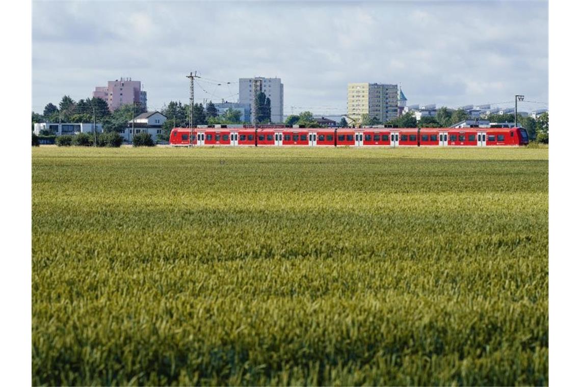 Ein Regionalzug fährt an einem Feld im Bereich der „Wolfsgärten“ vorbei. Foto: Uwe Anspach/dpa/Archivbild