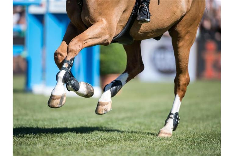 Ein Reiter und sein Pferd springen über ein Hindernis. Foto: picture alliance/dpa/Archiv/Symbolbild