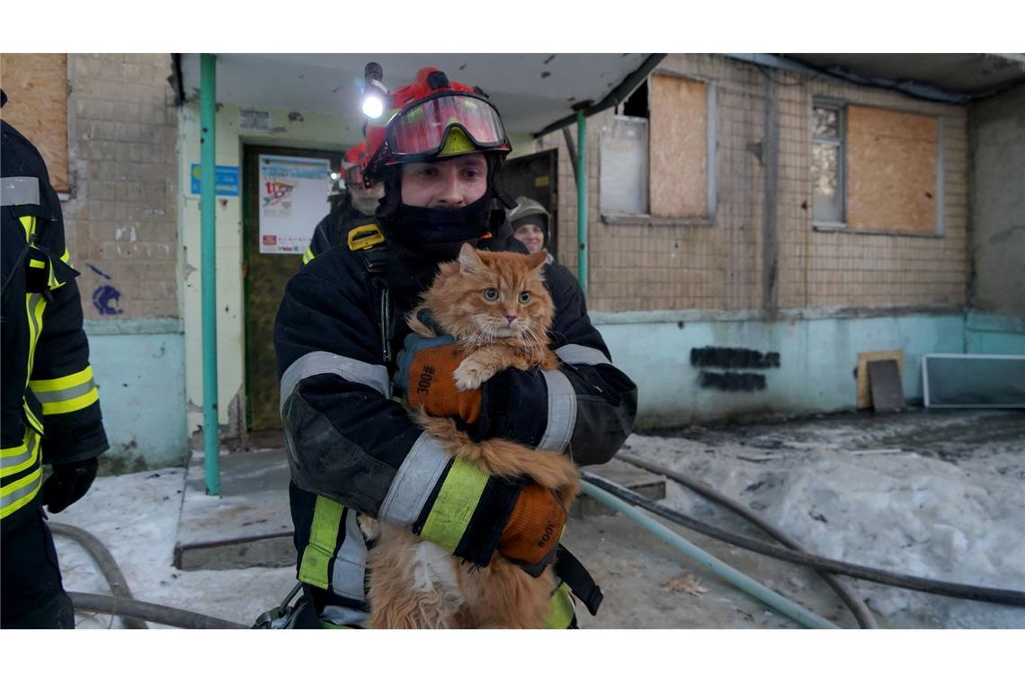 Ein Retter evakuiert eine Katze, nachdem eine russische Drohne bei einem Luftangriff ein Wohnhaus getroffen hat.
