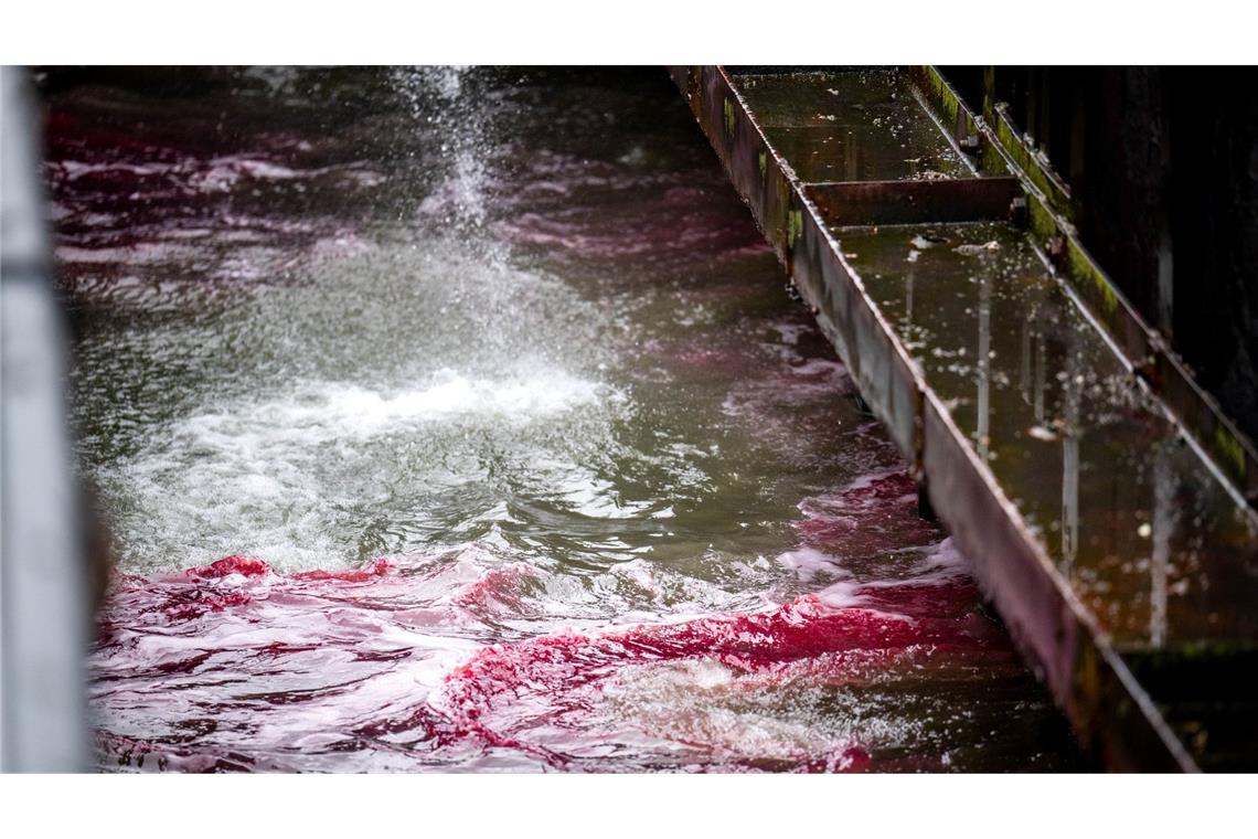 Schiffskollision in Cuxhaven – Riss lässt Öl austreten Ein roter Ölteppich bereitet sich auf dem Wasser aus.